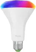 Essentials BR30 Bulb