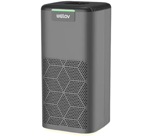 Welov Air Purifier